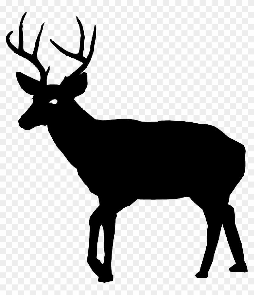 Animal, Buck, Deer, Nature, Silhouette - Deer Silhouette Transparent #873705