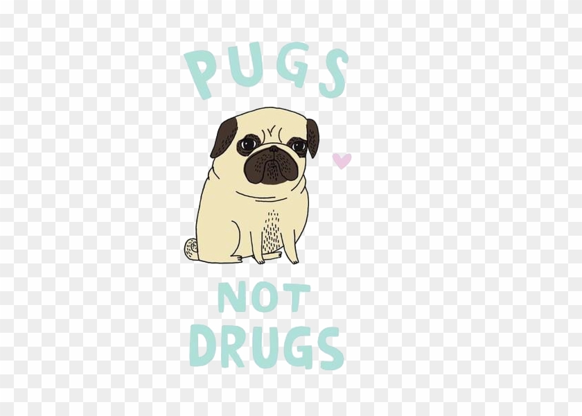 Verysexyrhino - Pugs Not Drugs Shirt #874008