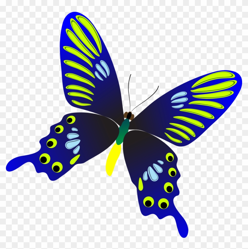 Butterfly #874107
