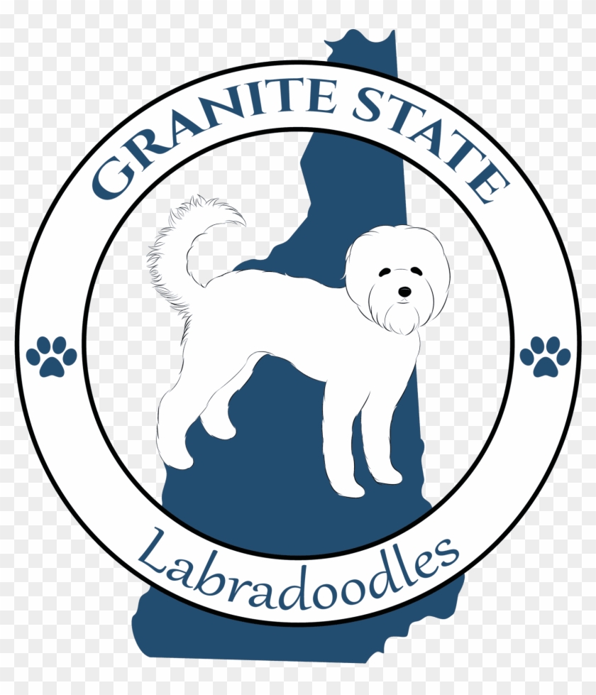Granite State Labradoodles #874640