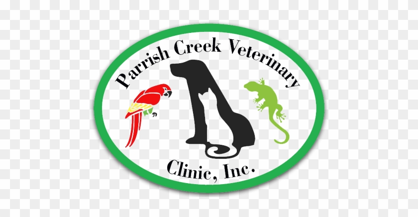 Parrish Creek Veterinary Clinic - Lizards Rock! Tote Bag, Adult Unisex, Natural #875449