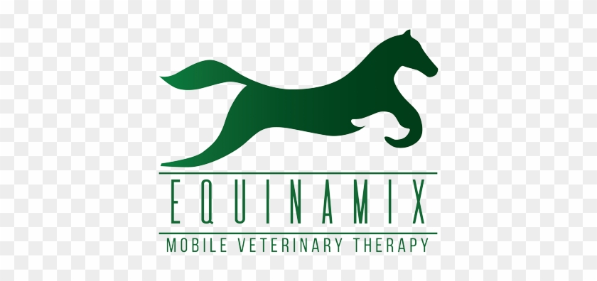 Equinamix Is Under Construction - Mustang Horse #875453