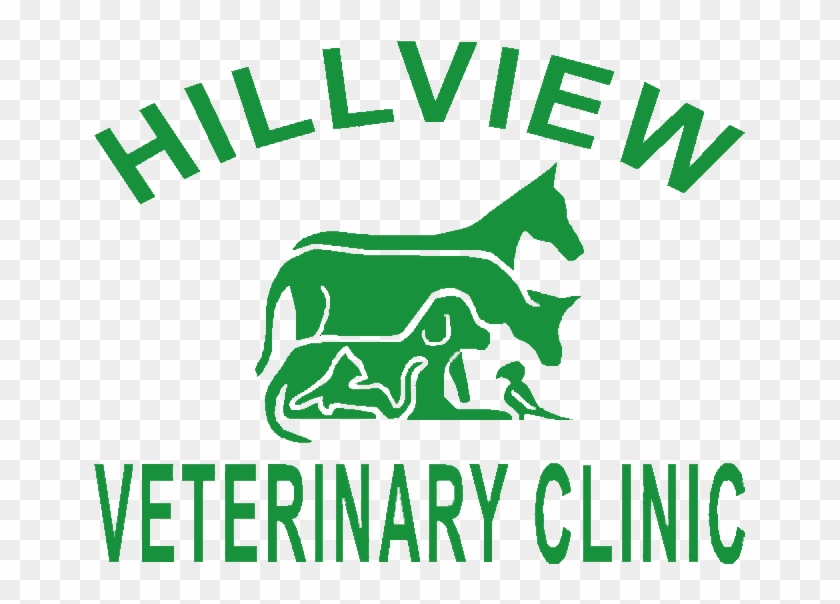 Back - Hillview Veterinary Clinic #875470