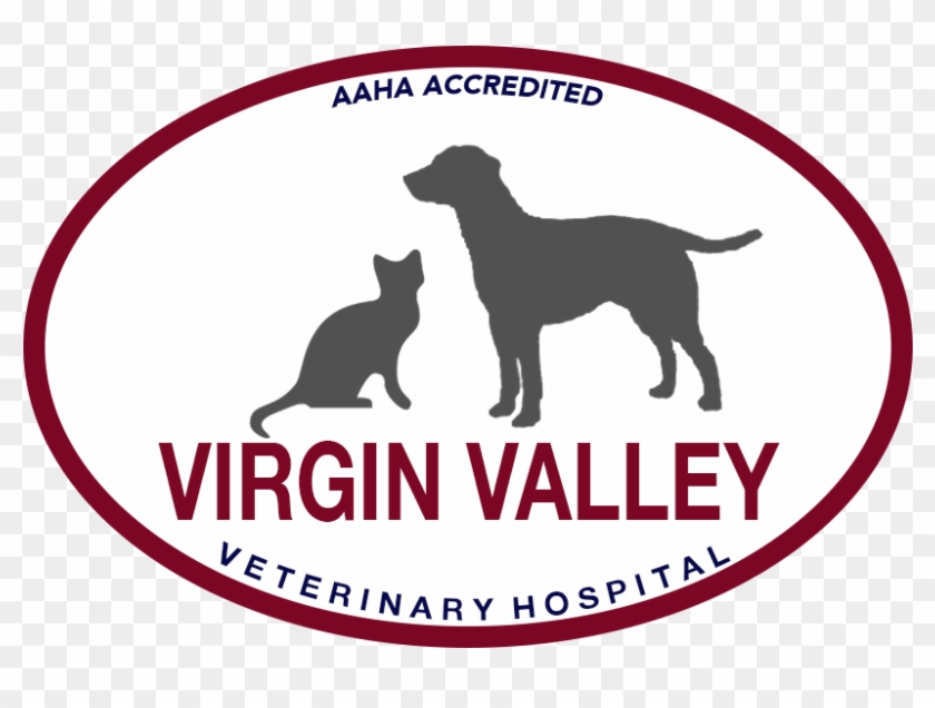 Virgin Valley Veterinary Hospital - Cafepress Cat Was Right Scarf #875473
