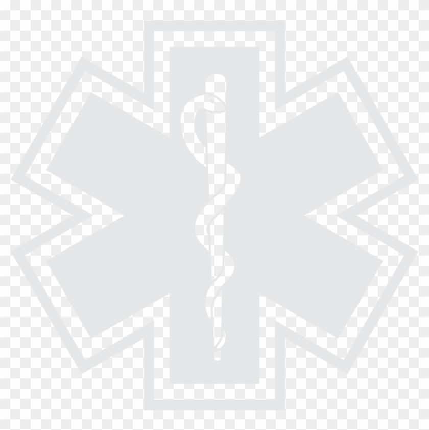 Picture - Star Of Life Snake #875474