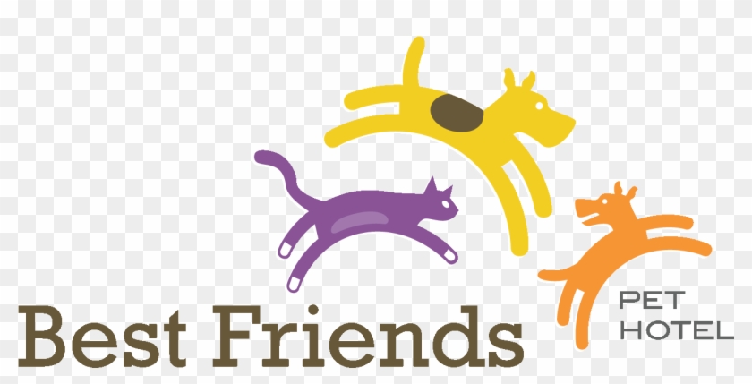 Best Friends Pet Care - Fruit Infused Water: Easy & Tasty Fruit Infused #875505