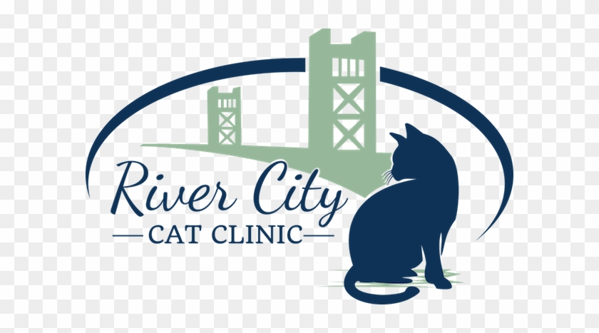 Cat Only Veterinary Care In The Land Park Region Of - Cat #875516