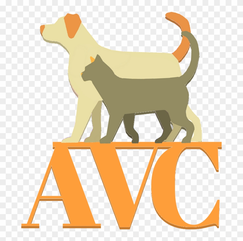 Arthur Veterinary Clinic - Arthur Veterinary Clinic #875530