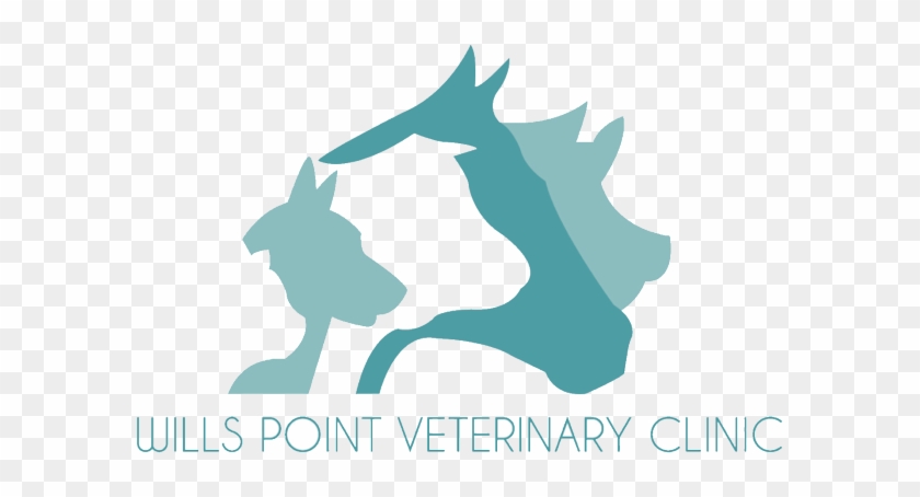 Shop By Category - Wills Point Veterinary Clinic #875552