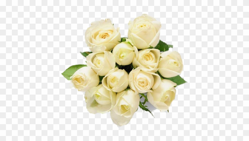 Bunch Of 12 White Roses - White Rajnigandha Flower Png #875579
