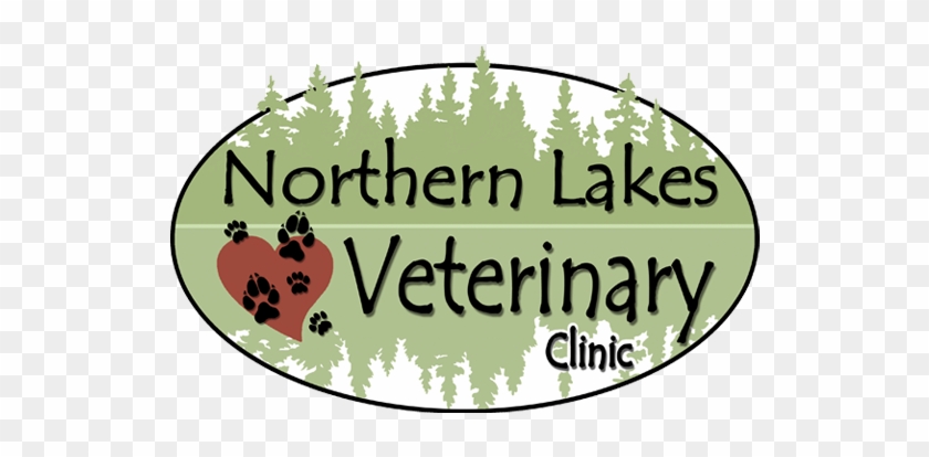 At The Northern Lakes Veterinary Clinic, We Consider - Cafepress My Soaps Rectangle Magnet #875625