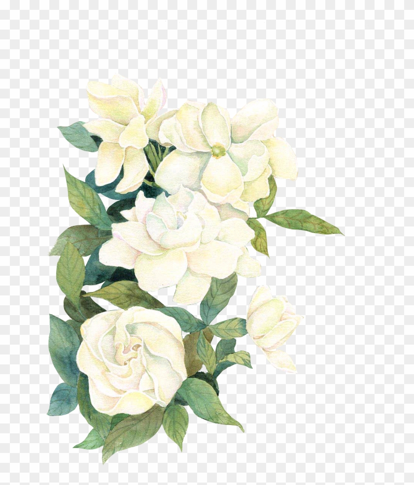 White Watercolor Flwoers - Flores Brancas Png #875641