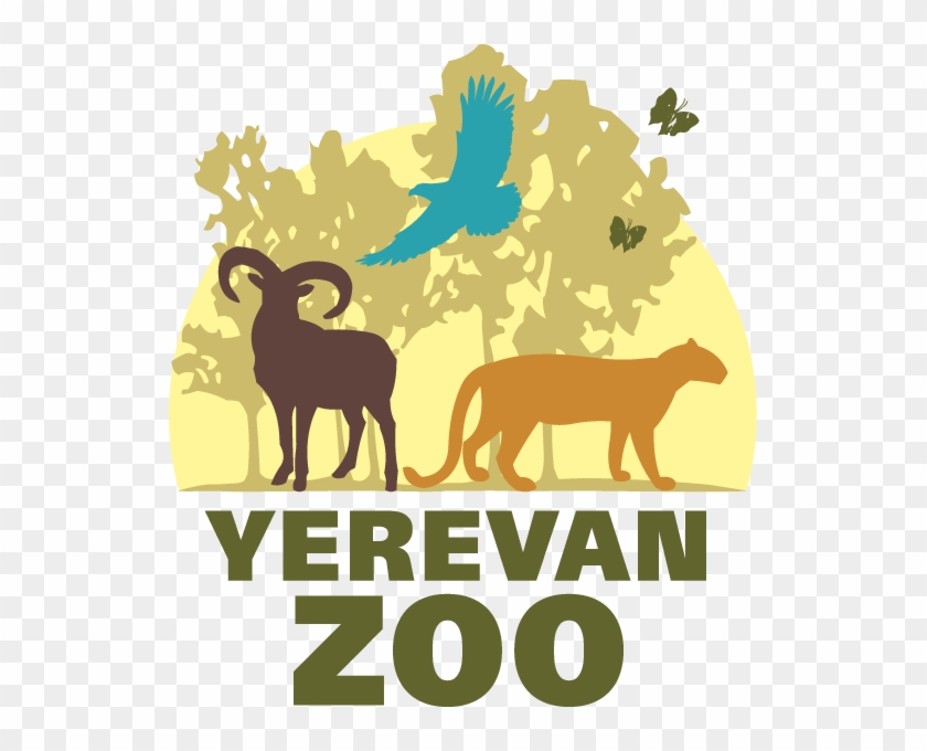 Clinic - Zoo Of Yerevan #875668