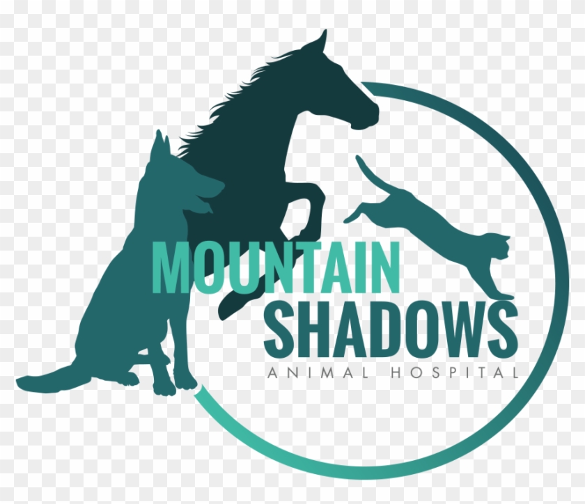 Mountain Shadows Animal Hospital - Mountain Shadows Animal Hospital #875672