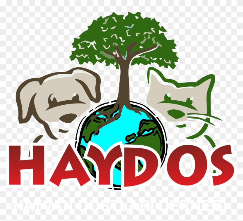 Four Corners Veterinary Clinic Veterinarian In Maple - Hayvan Dostlari #875683