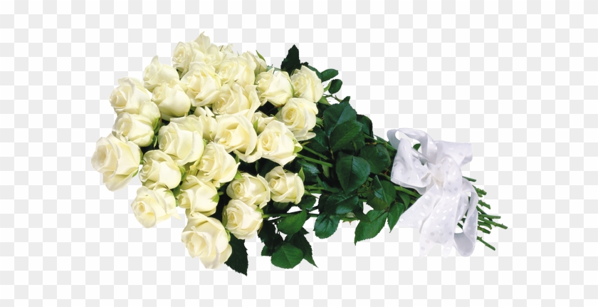 White Roses Zoom - 30 White Roses #875682