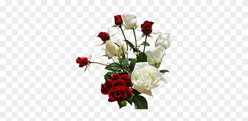 Bouquet Roses Flowers Red Roses And White - Transparent Bouquet #875685
