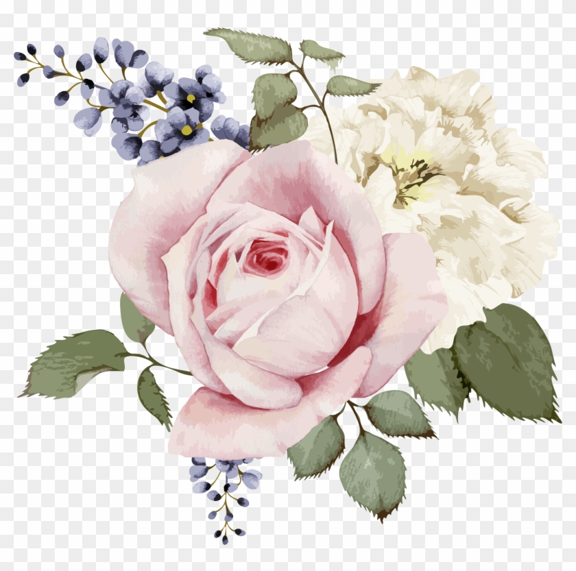 Rose Painting Stock Illustration Flower - Flower Vector #875702
