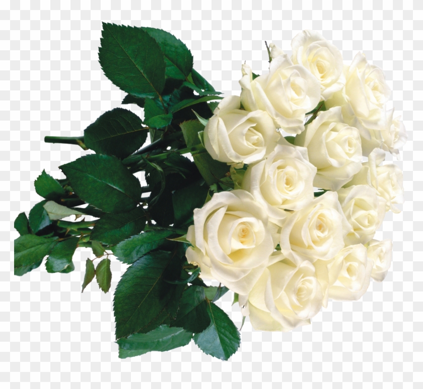 White Roses In Bouquets - Букет Белых Роз Клипарт #875718
