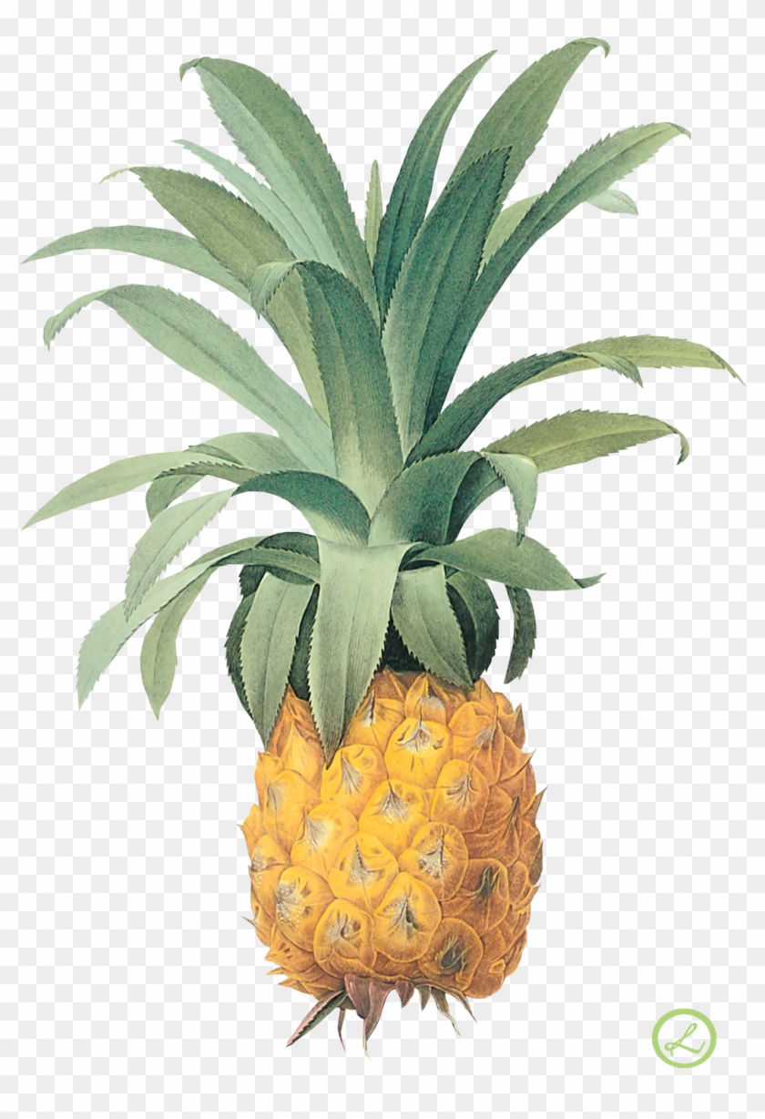 April 2018 Calendar With Pineapples #875825