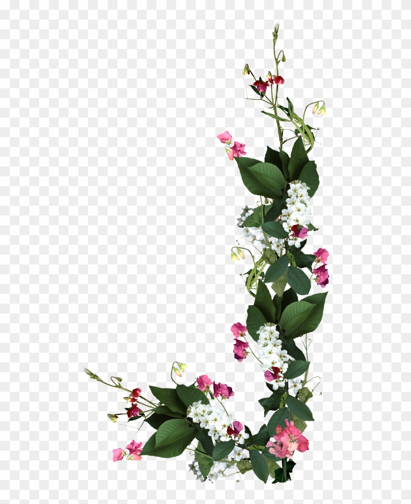 Flores Naturales, Natural Flowers - Boa Tarde Emoji #875836