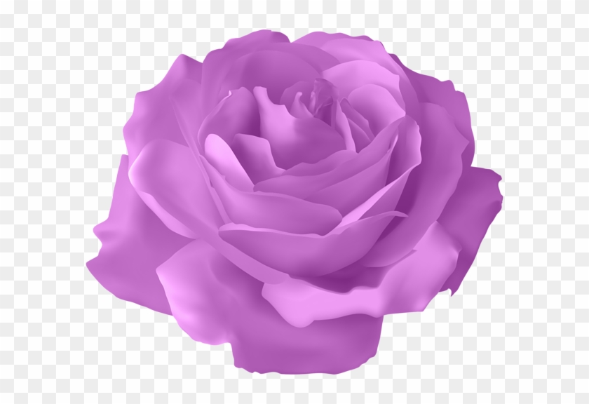 Clip Arts Related To - Purple Rose Clip Art #875938