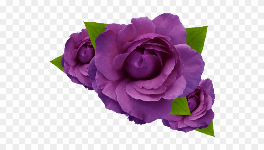 Transpa Purple Flower Crown - Flower #876109