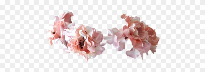 Transparent Flower Crown Png Download - Flower Crown Tumblr Fandom #876137