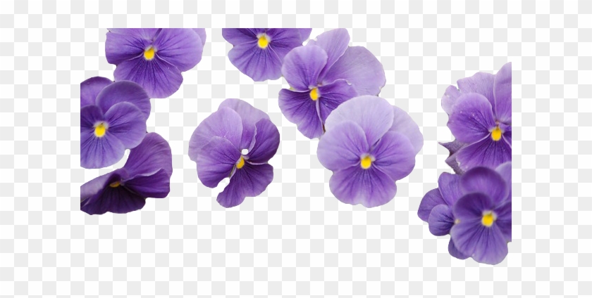 Flower Png Tumblr For Kids - Purple Bouquet Flower Png #876154