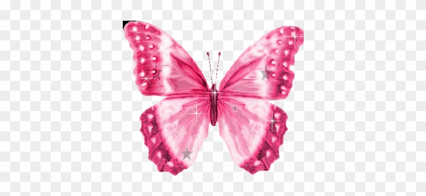 9ff7bebd - Como Son Las Mariposas #876155