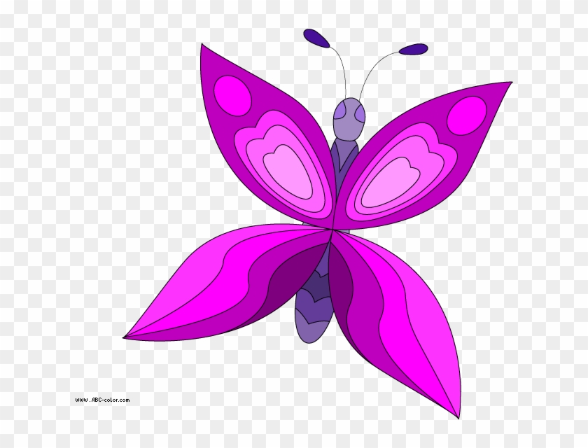 Butterfly Raster Picture - Кліпарт Метелик #876166