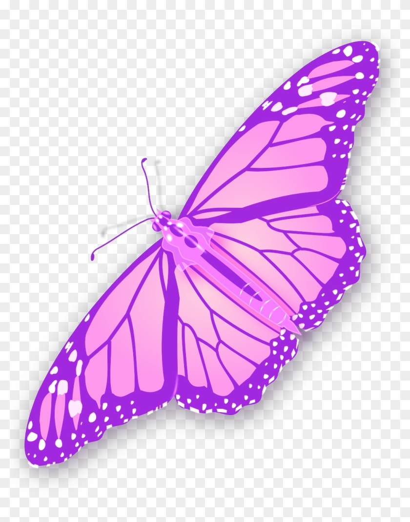 Today Is Butterfly Day - Free Butterfly Clip Art #876187