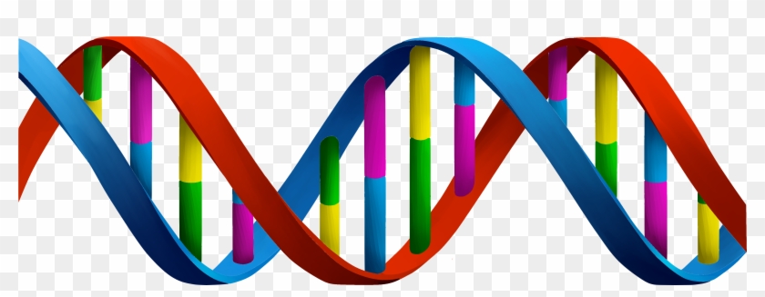 Dna Png #876190