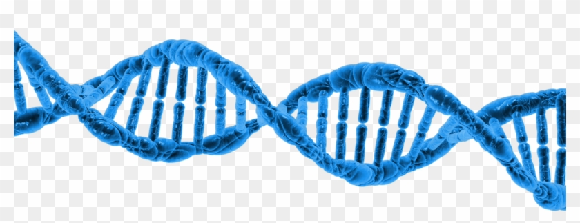 Dna String Double Helix - Missing Link: What It Means #876194