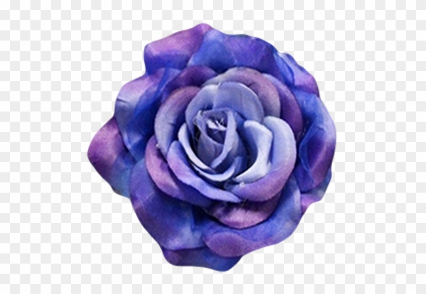Royal Blue - Blue Rose #876210