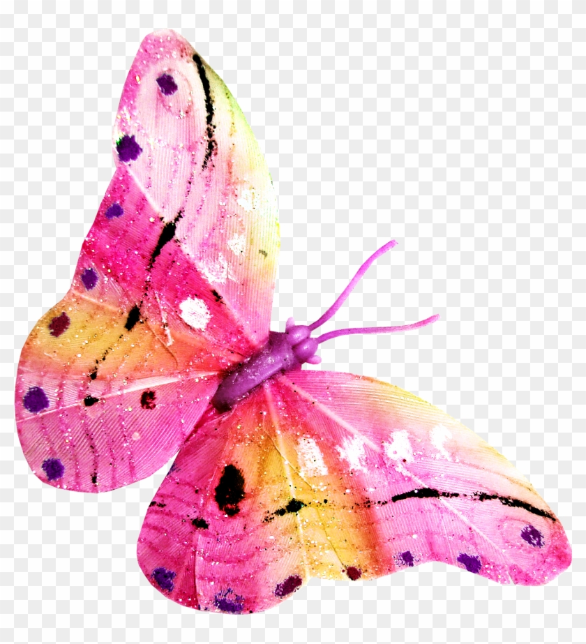 Rainbow Butterfly Clipart Papillon - Butterfly #876236