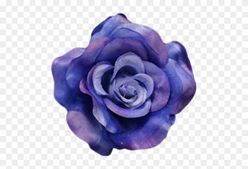 Navy Blue - Garden Roses #876250
