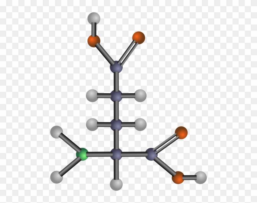 Acid Cliparts - Amino Acids: Biochemistry And Applications #876257
