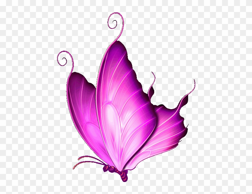 pink flying butterfly clipart