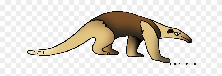 Anteater Clipart #876384