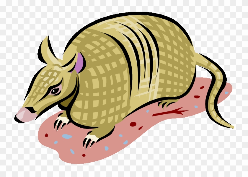 Yellow Armadillo Clipart - Clip Art Armadillo #876417