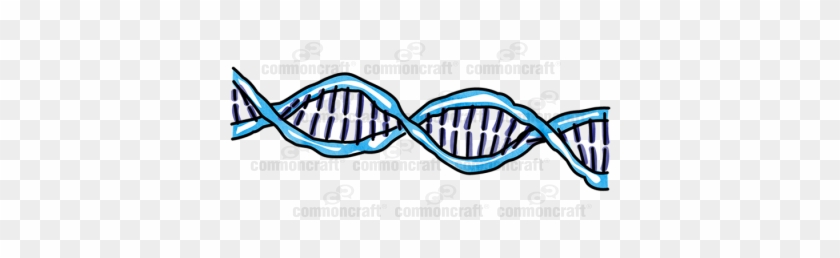 Dna Double Helix - Dna Double Helix #876423