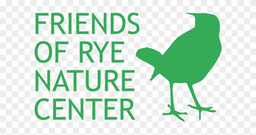 The Friends Of Rye Nature Center's Summer Day Camp - White Gloss Removable Paper Butt-cut Roll Labels ( #876462
