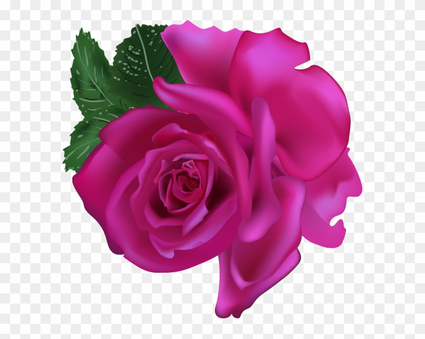 Vector Pink Roses Collection - Rose #876553