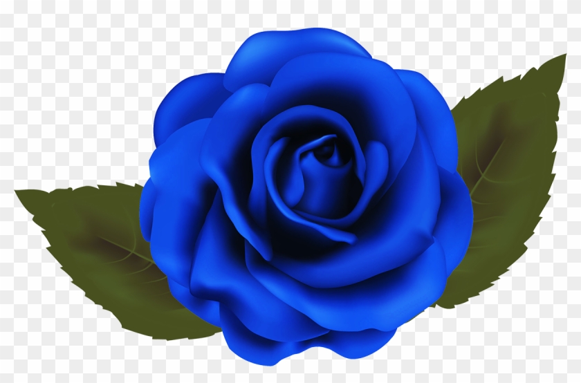 Garden Roses Blue Rose Beach Rose Cabbage Rose - Floribunda #876556
