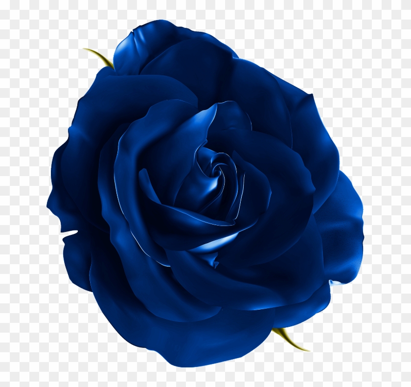Publicat De Eu Ciresica La - Flowers Blue Realistic Png #876583