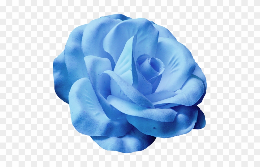 Blue Roses - Portable Network Graphics #876589