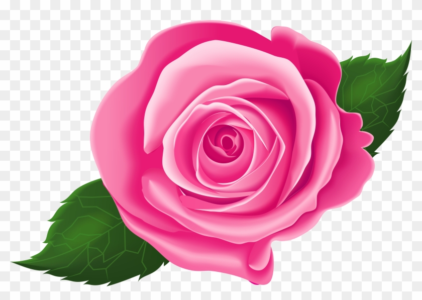 Pink Rose With Leaves Png Clip Art Image - Clip Art #876603