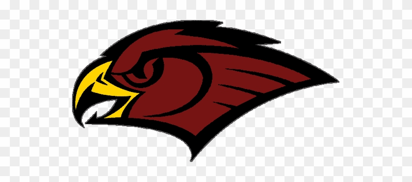 Black Hawks Logo - Atlanta Hawks Secondary Logo #876700