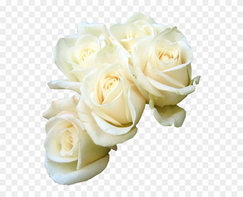 Share This Image - White Roses Psd #876834